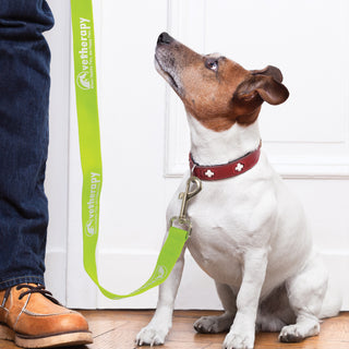 Tether Dog Leash (Red) — Feature