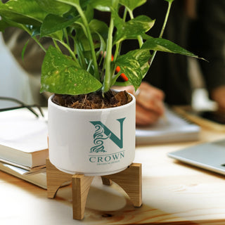 Grove Planter with Bamboo Base (White/Natural) — Feature
