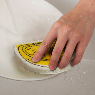 Bloom Sponge (White) — Feature