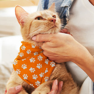 Scout Pet Bandana - Small (White) — Feature