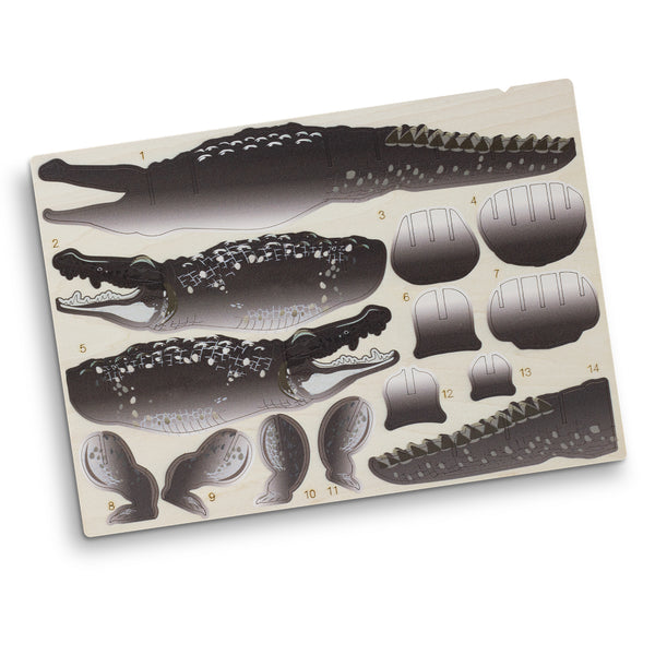 BRANDCRAFT Crocodile Wooden Model (Natural)
