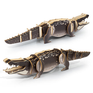 BRANDCRAFT Crocodile Wooden Model (Natural) — Feature