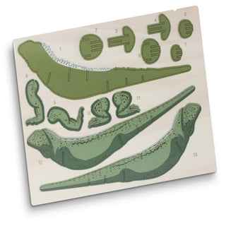 BRANDCRAFT Tuatara Wooden Model (Natural) — Flat Sheet