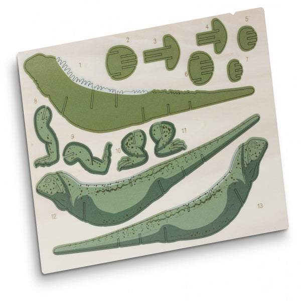 BRANDCRAFT Tuatara Wooden Model (Natural)