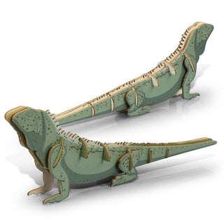 BRANDCRAFT Tuatara Wooden Model (Natural) — Feature