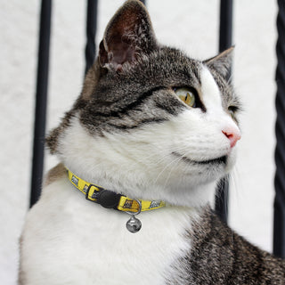 Prowl Cat Collar (White) — Feature