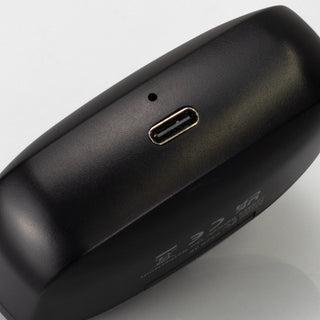 Swiss Peak ANC TWS Earbuds (Black) — Detail