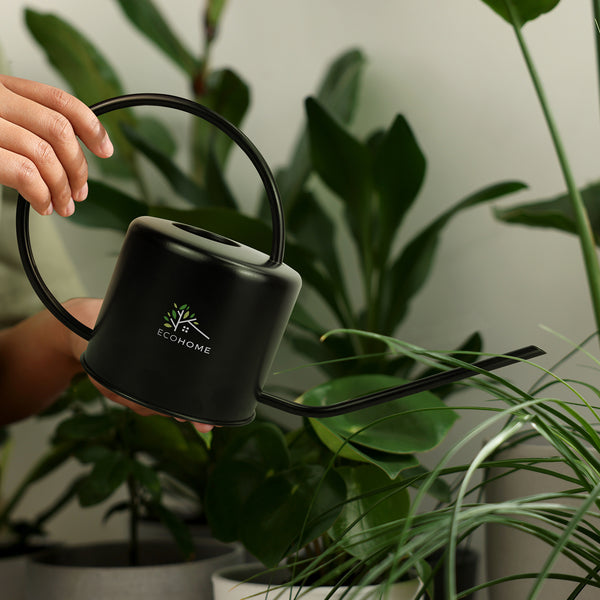 Keepsake Watering Can (Black)