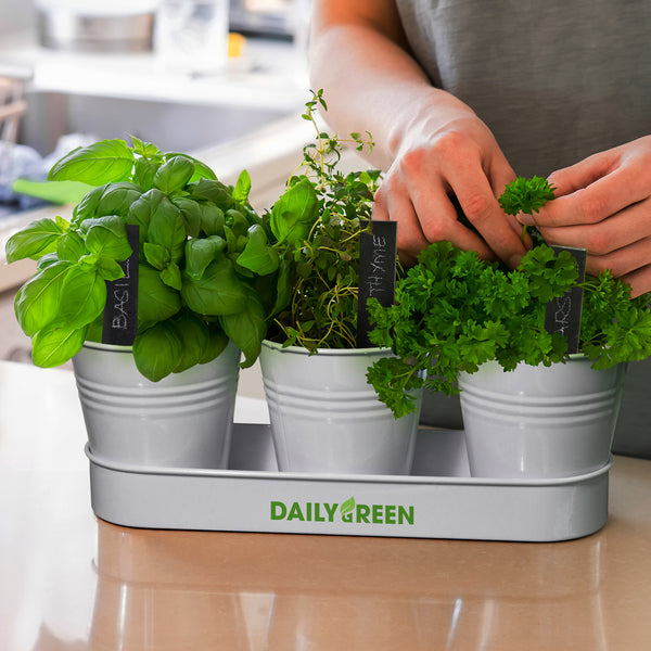 Keepsake Herb Planter (White)