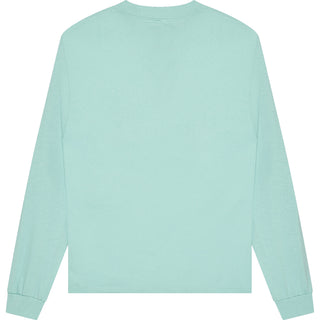 American Apparel 1304 Celadon - Back View | color:Celadon|view:back