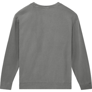 Comfort Colors 1466 Grey - Back View | color:Grey|view:back