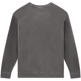 Comfort Colors 1566 Grey - Back View | color:Grey|view:back
