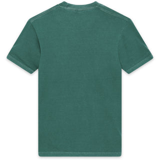 Comfort Colors 1717 Light Green - Back View | color:Light Green|view:back
