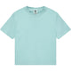 Chalky Mint
