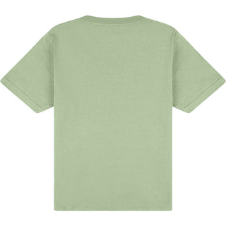 Gildan Softstyle 65000B Sage - Back View | color:Sage|view:back